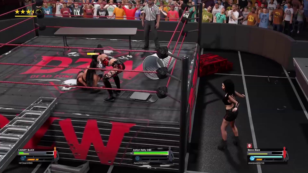 DZW Week Fifteen Match Two Rebels Championship Match 