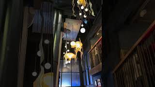 Breathtaking decor 🪼 at The Cannery in Newport Beach!!! 🏖️ #restaurant #decor #jellyfish #lamp