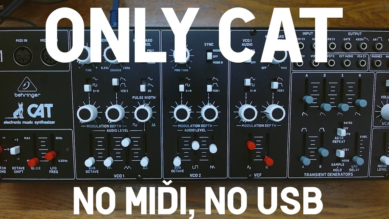 Behringer CAT - YouTube