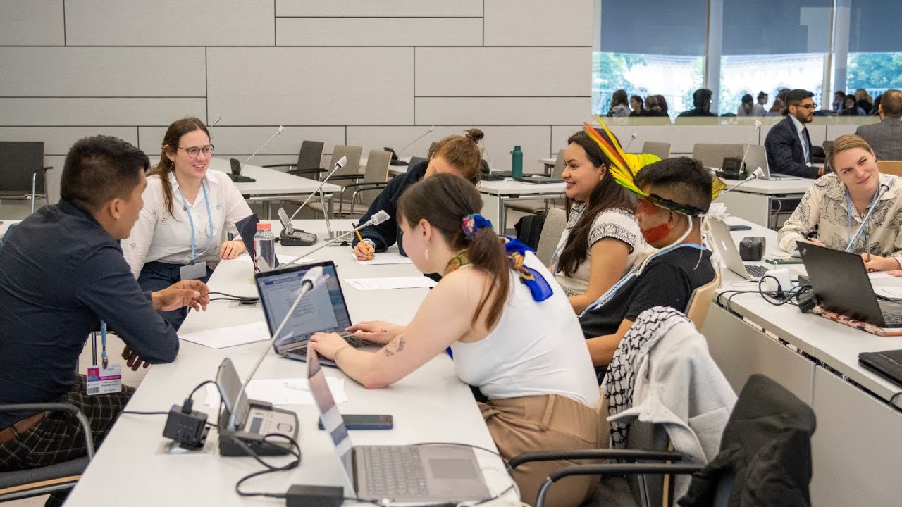 Youth4Capacity #4 Decoding UNFCCC language