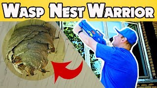 Nerf Guns Vs Angry Wasp Nest Round One Bradley The Exterminator