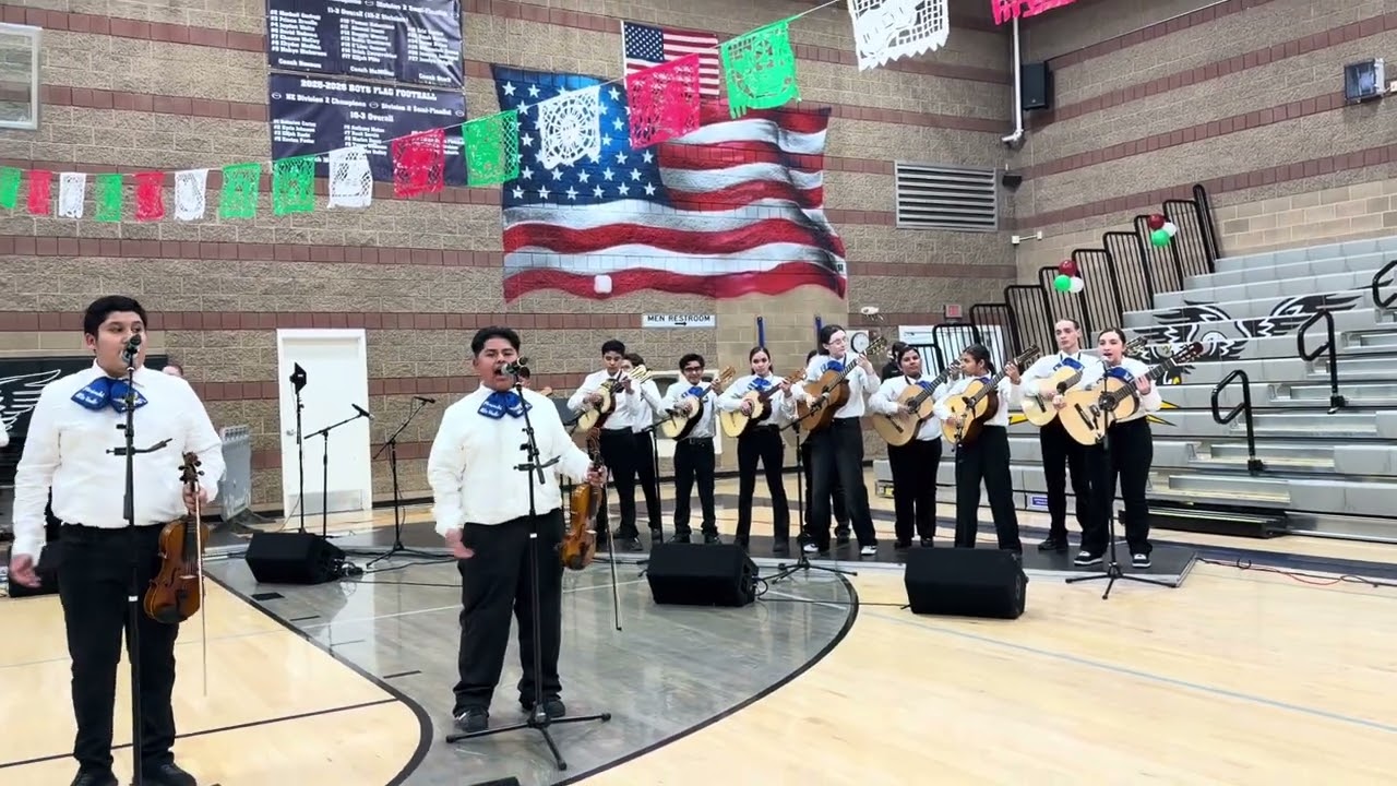 Son De Mi Tierra - Mariachi Alto Vuelo