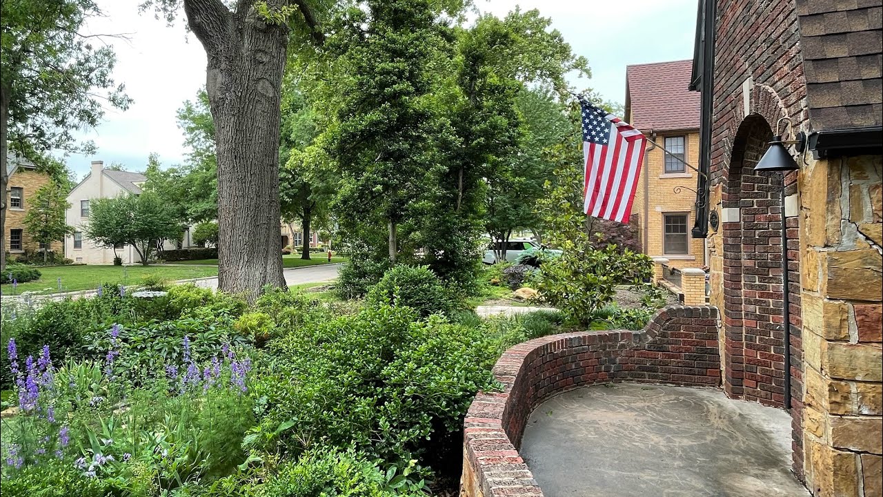 Arbor Image Video 🌳 Get Your Questions In! YouTube