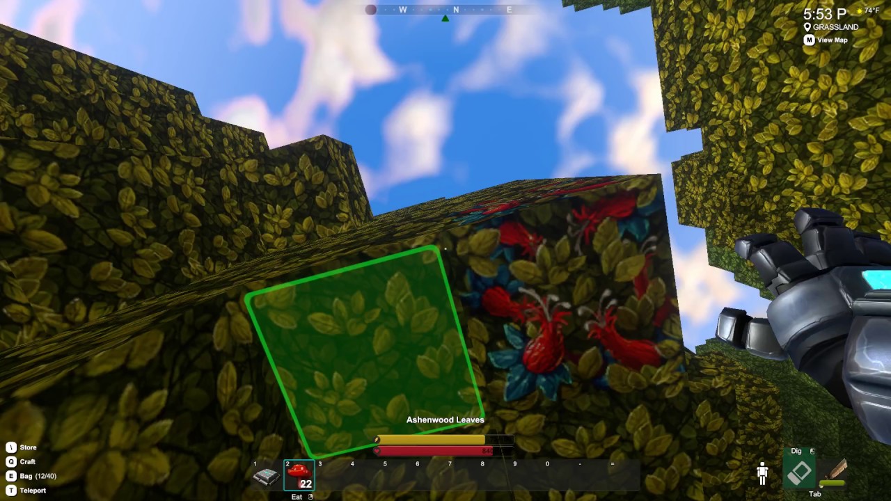 Creativerse - multi-player Fun