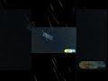 tiv 2 vs lebanon tornado!! #animation #tornado #animasi #tiv2 #weather #seancasey #stormchasers