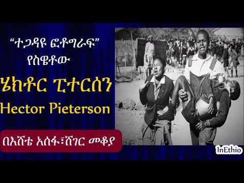 ቪዲዮ: የአካባቢያዊ ተቃውሞ በእድገት ኩርባ ላይ ምን ተጽዕኖ ያሳድራል?