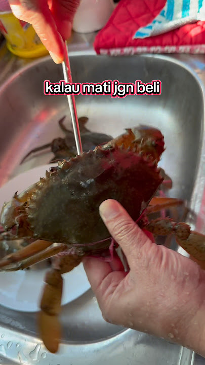 When craving for muscrabs ...#mudcrab #shorts