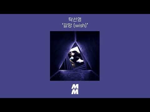 [Official Audio] Tark Sun Young(탁선영) - wish(갈망)