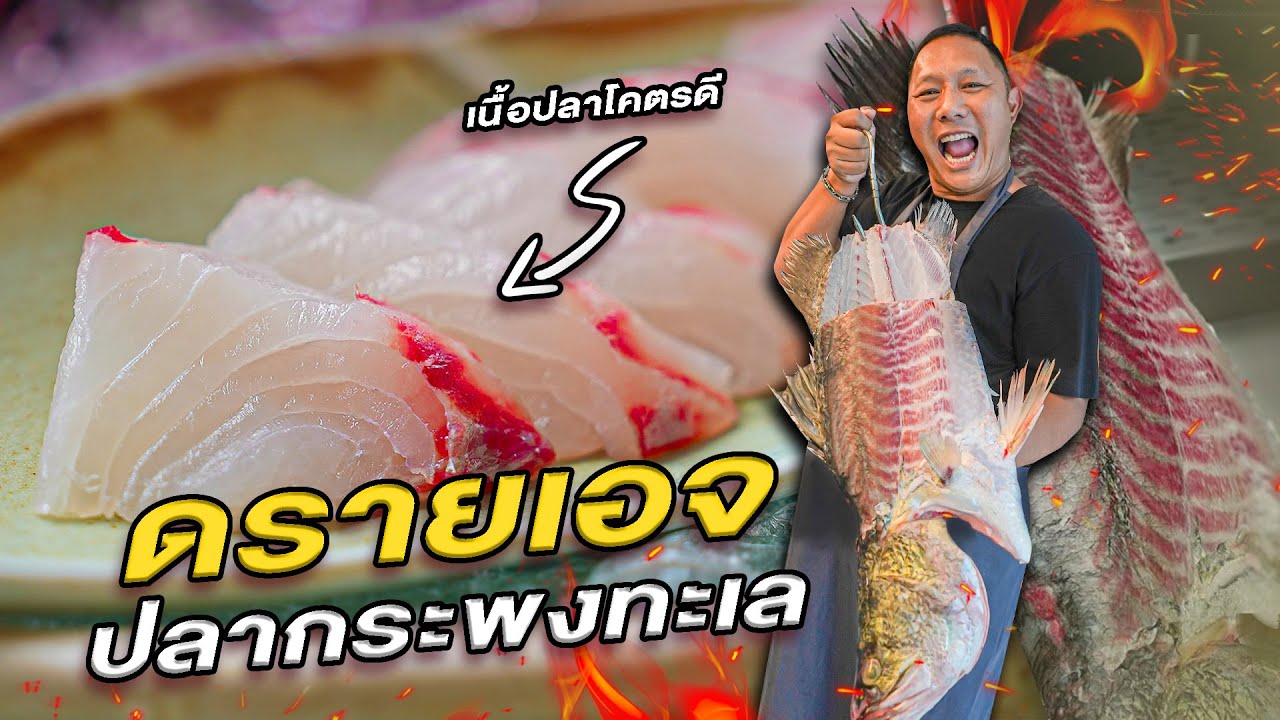 เคล็ดลับการทำซาชิมิ ให้ได้เงินล้าน !!!