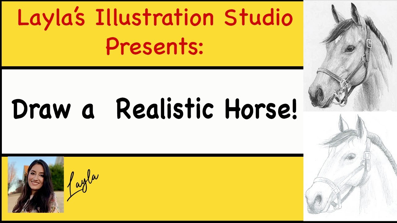 Draw a realistic horse! - YouTube