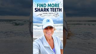 How to Find Shark Teeth | Introducing Shark Tooth Finder How to Find Shark Teeth | Introducing Shark Tooth Finder