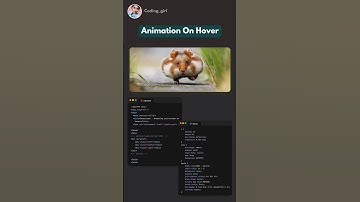 Animation On Hover 💥#like #shortvideo #shorts #webdesign #bts #html #codinglover #coder #coding