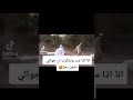 هههه هذا ميت ولا حي