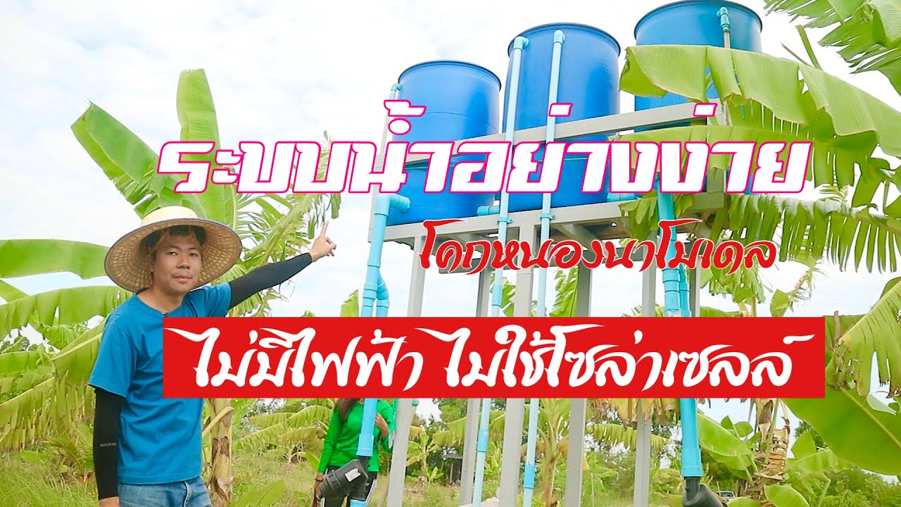 ระบบบน้ำอย่างง่าย ในแปลงเกษตร โคกหนองนา ไม่มีไฟฟ้า ไม่ใช้โซล่าเซลล์ โดย ตูน ปิโยรส