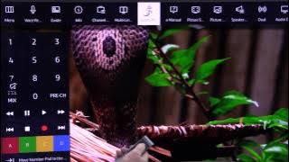 Samsung UE48JU6500 6 Series Curved 4K Ultra HD LED TV