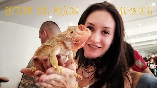 Reptilium exhibition in Moscow in spring 2021. Exotic terrarium animals and their owners