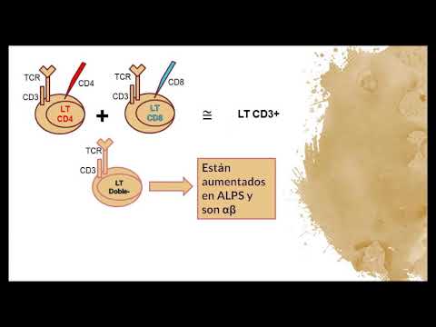 Vídeo: El Complejo De Antígeno 6 De Linfocitos Específicos De Subtipo Mediado Por JAK / Stat5, La Expresión Del Locus G6D (LY6G6D) Impulsa El Cáncer Colorrectal Competente Para La Reparac