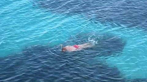 Cosa fare a Favignana a maggio?