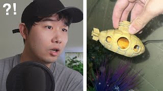 Pet Fish STUCK in artificial decoration | Fish Tank Review 216
