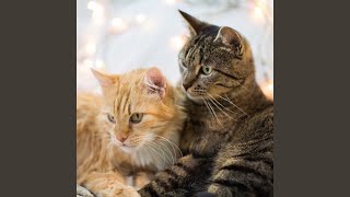Quiet Paws Gentle Notes