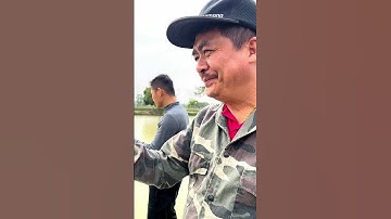 Câu lure, câu cá nheo hồ dịch vụ phần 2 #Shorts