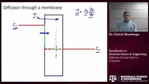 Diffusion Steady state
