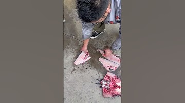 fish splitting filleting machine testing#fishmachine #fishprocessing  #foodprocessing