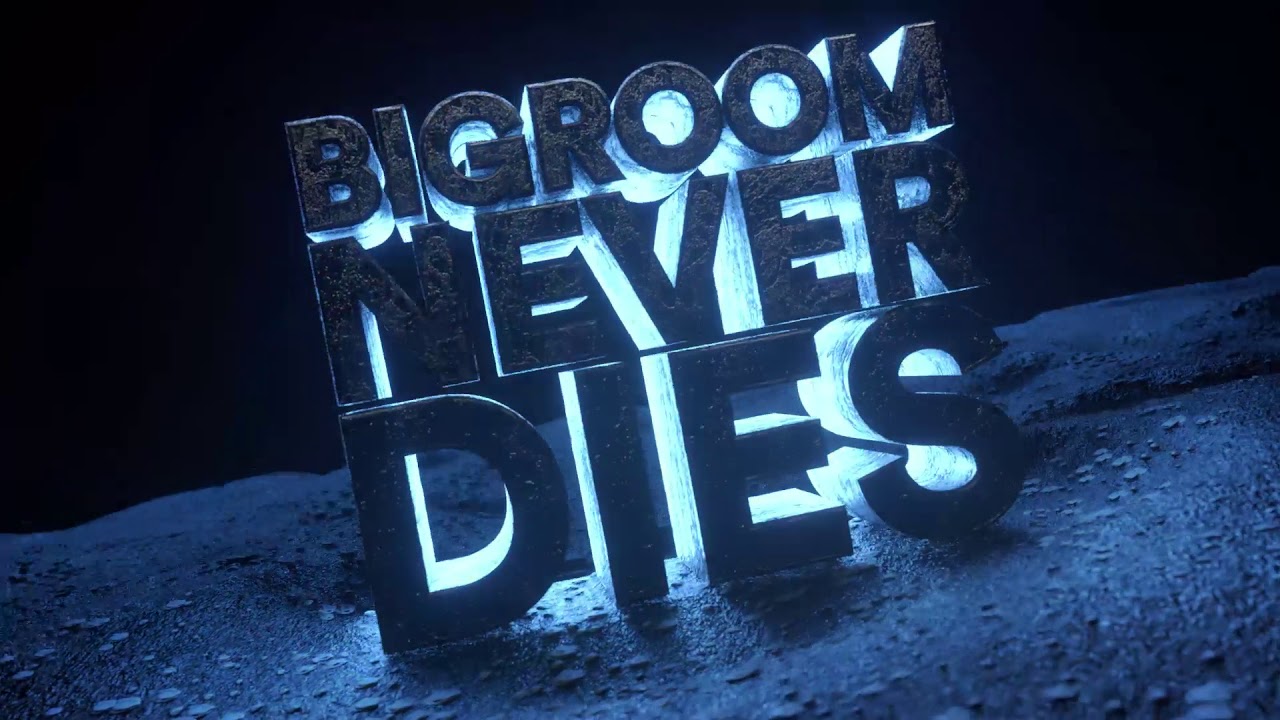 Hardwell  Blasterjaxx feat Mitch Crown   Bigroom Never Dies Visual Video