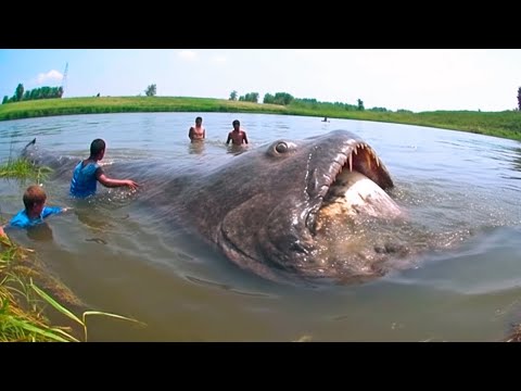 If These Creatures are Not Caught On Camera, No One Would Have Believed It