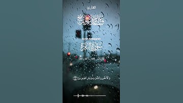 #تلاوة #أرح_سمعك #اجمل_صوت#اكسبلور  #القارئ_عمر_الاسود_الفريح#سورة البقرة الآيات ١٥٥-١٥٦-١٥٧