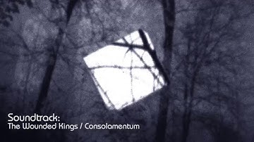 Eine Teknonaturalische Lichtspiel / vvvv projektion /