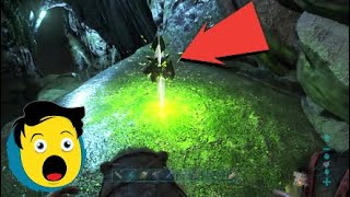 Ark survival official server ReBoRn- tribe Forest cave