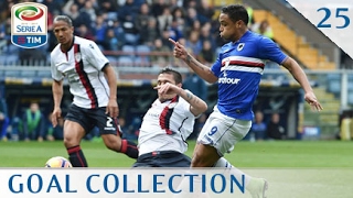 GOAL COLLECTION - Giornata 25 - Serie A TIM 2016/17