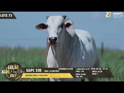 LOTE 73   GGPC 518