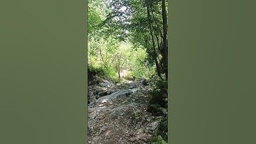 صباح الخير ❤😍💕معه القران الكريم #quran اكسبلورر explore 🥰