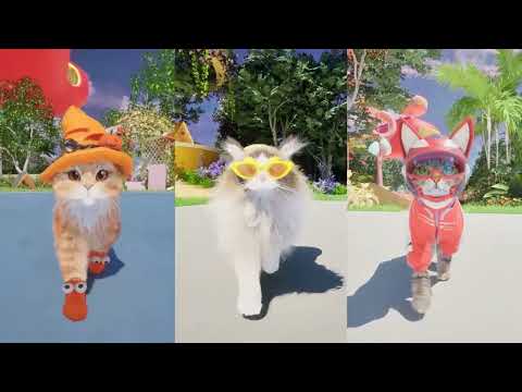 Catly (видео)