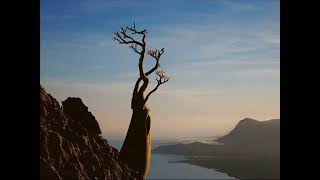 15. Bölüm Tarikatlar Sesli Kitap