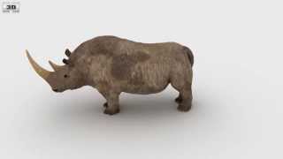 Woolly Rhinoceros Low Poly 3D model by 3DModels.org