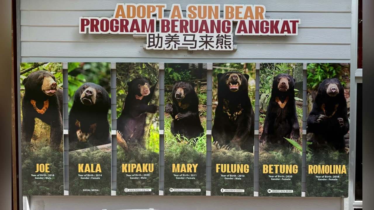 Sandakan-A Tail of two stories