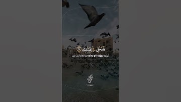 #سورة_الفجر @Dr.YahyaShekhani #yahya_shekhani