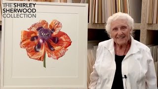 Dr. Shirley Sherwood presents: A Brilliant Life - Faded Glory by Denise Ramsay