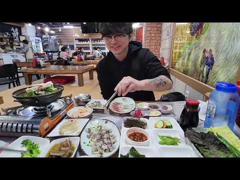 busan vlog