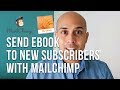 How to Send Your Ebook to New Subscribers Using MailChimp (2018)