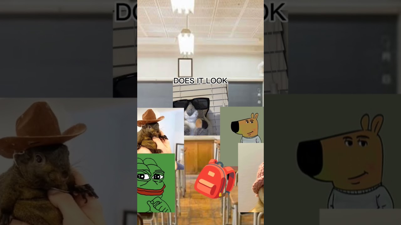 $nibs + chill guy + pepe + pnut + wif = crypto memecoin madness