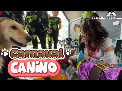 Carnaval Canino 2025 |Reportaje |Las Palmas de Gran Canaria