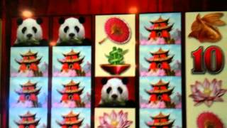 Wild Panda Slot Jackpot!!! screenshot 5