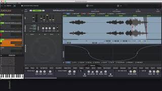 Radium - Single Parrot Part 2