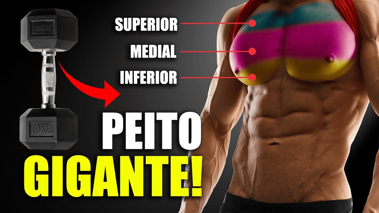 Treino de peito com halteres [COMPLETO]