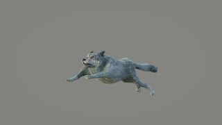 Low Poly Wolf Animated Free