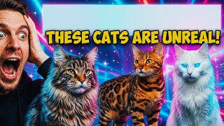 7 of the Prettiest Cat Breeds You’ll Ever Meet 😻#cats #trending #aivideo 